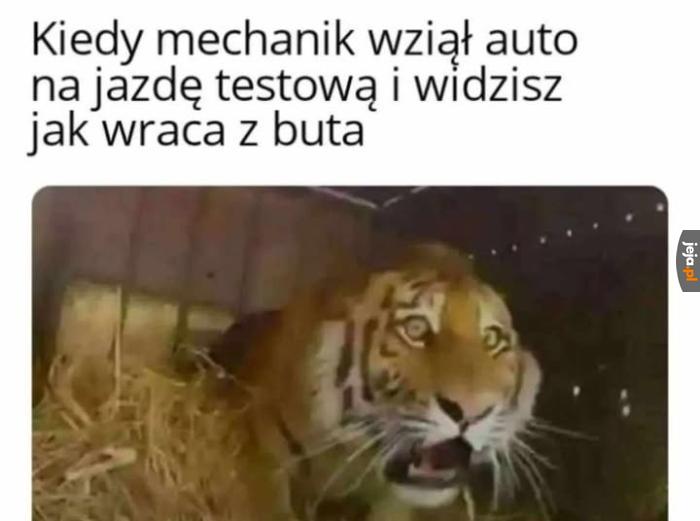 Jak to eksplodował zaraz za zakrętem