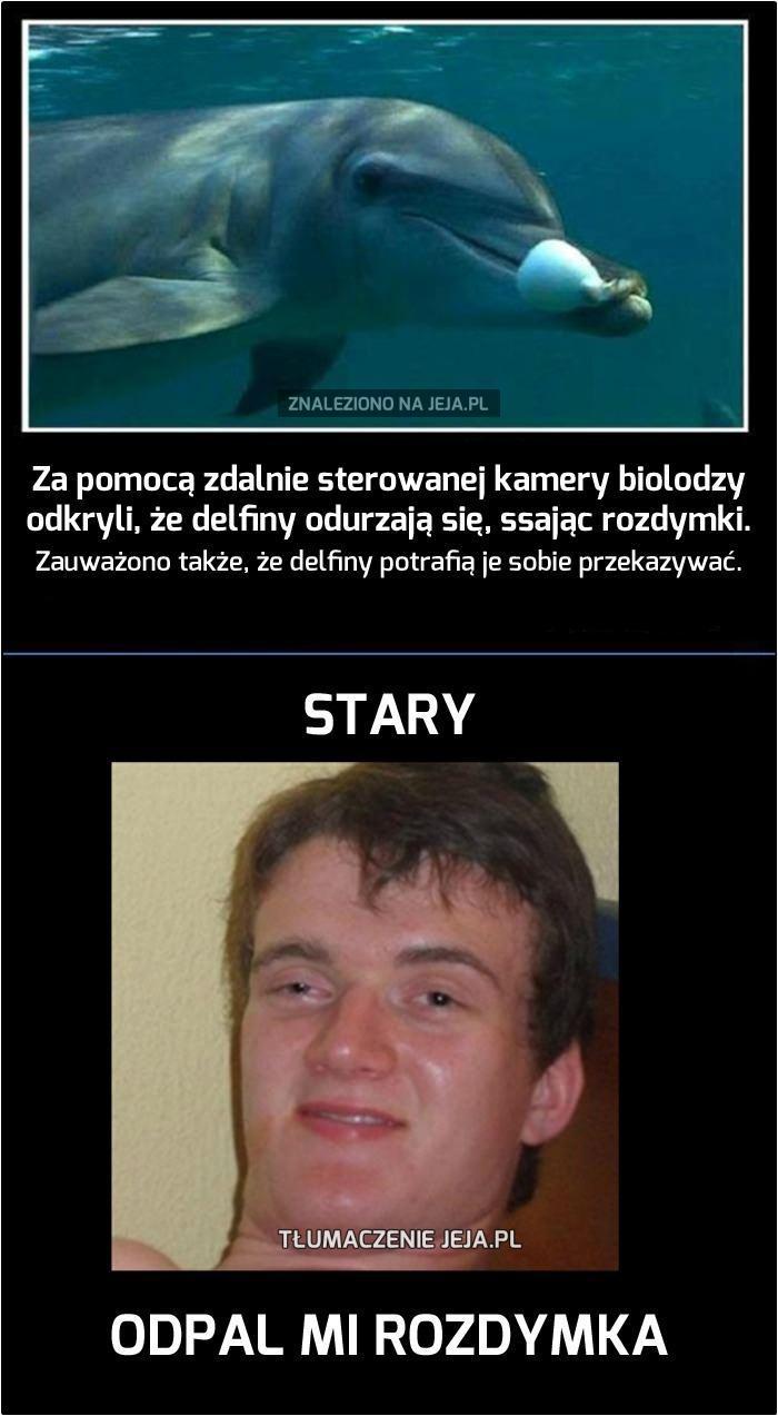 Odpalaj rozdymka!