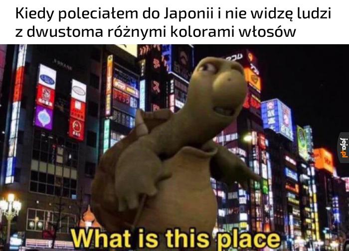 Internet mnie oszukał
