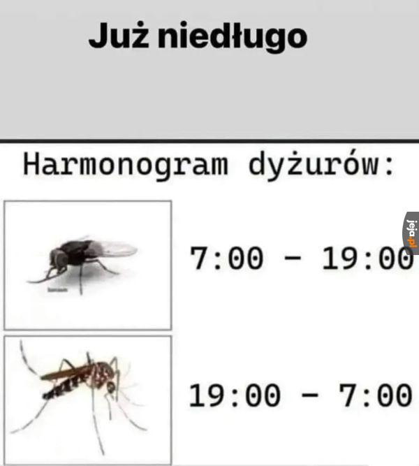 Tęskniliście?