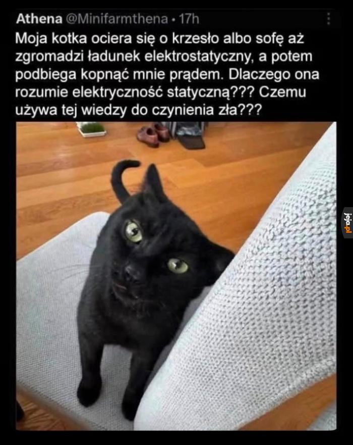 Ona tylko tak się bawi