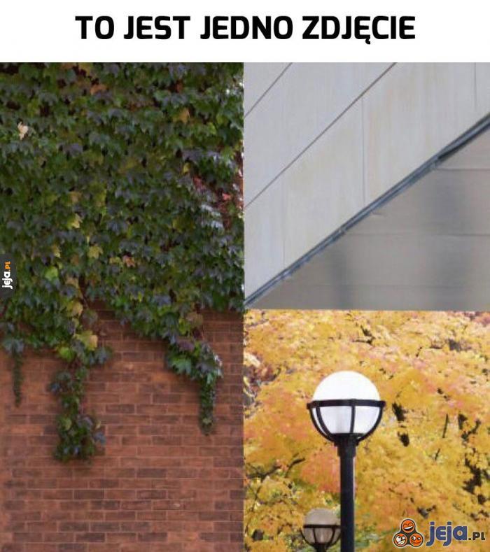 Serio Jeja.pl