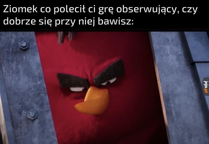 I jak wrażenia?