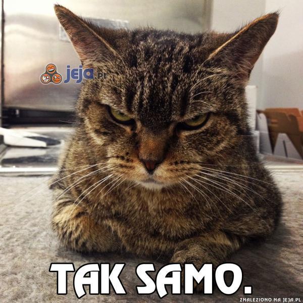 Gdy mama spyta: "Jak tam w szkole?"