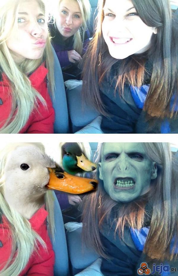 2 kaczki i Voldemort