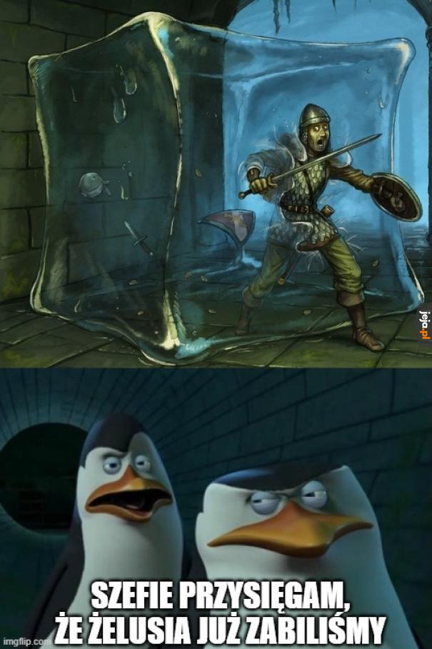 Kowalski, w serio już 3 raz tą galaretę stworzyliście?