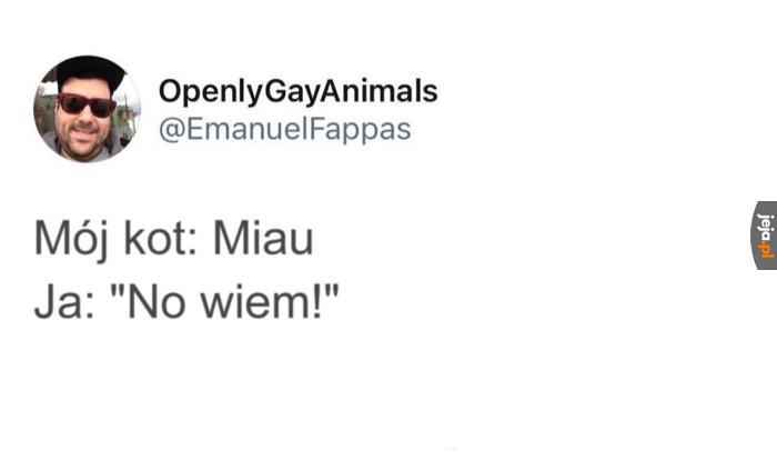 Kociarze zrozumieją