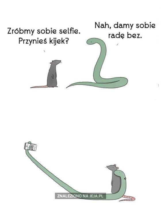 Selfie z wężem