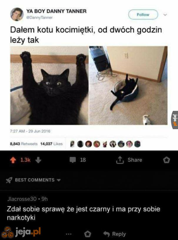 Przypał