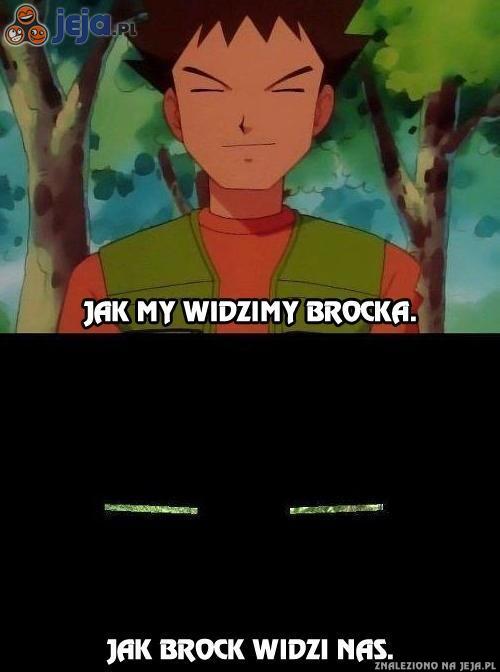 Brock nie ma łatwego życia...