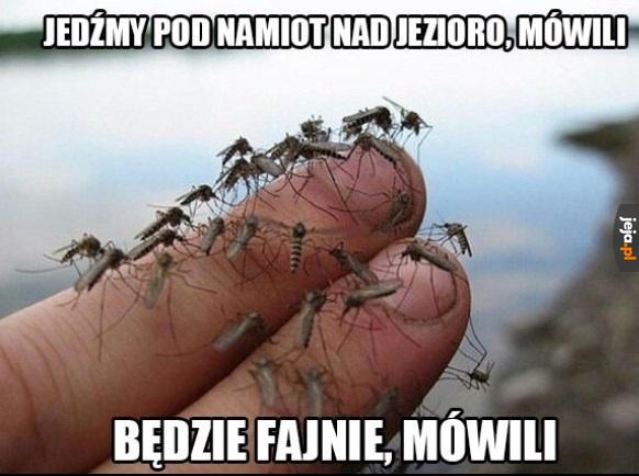 Co roku to samo...