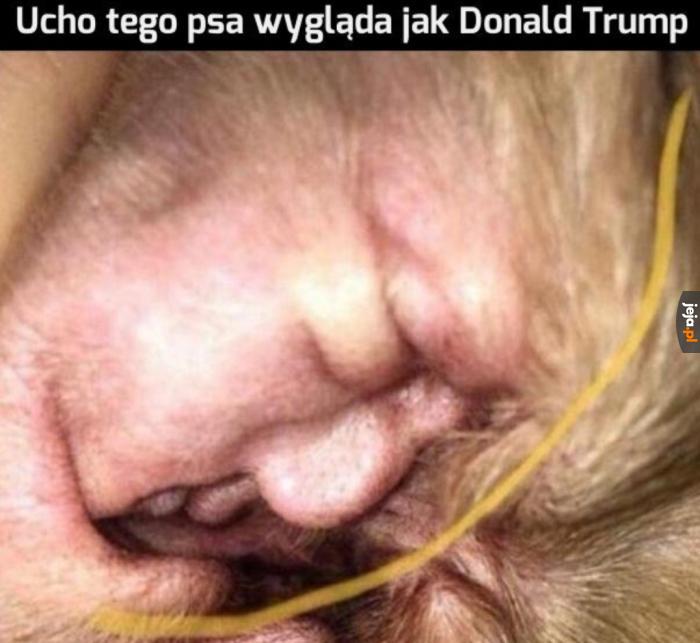 Porozumienie z Iranem jest już blisko