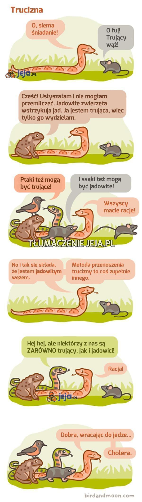 O, gadający wąż!