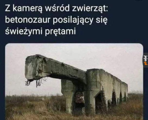 Betonozaur
