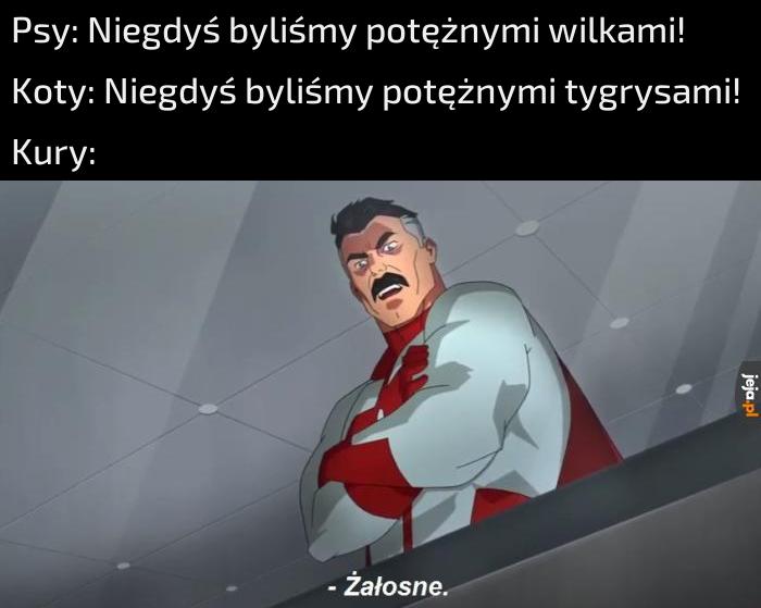 Jaki był wasz ulubiony dinozaur?