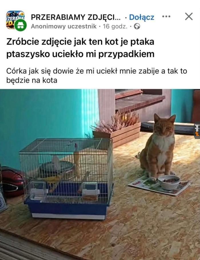 Lekki przypał
