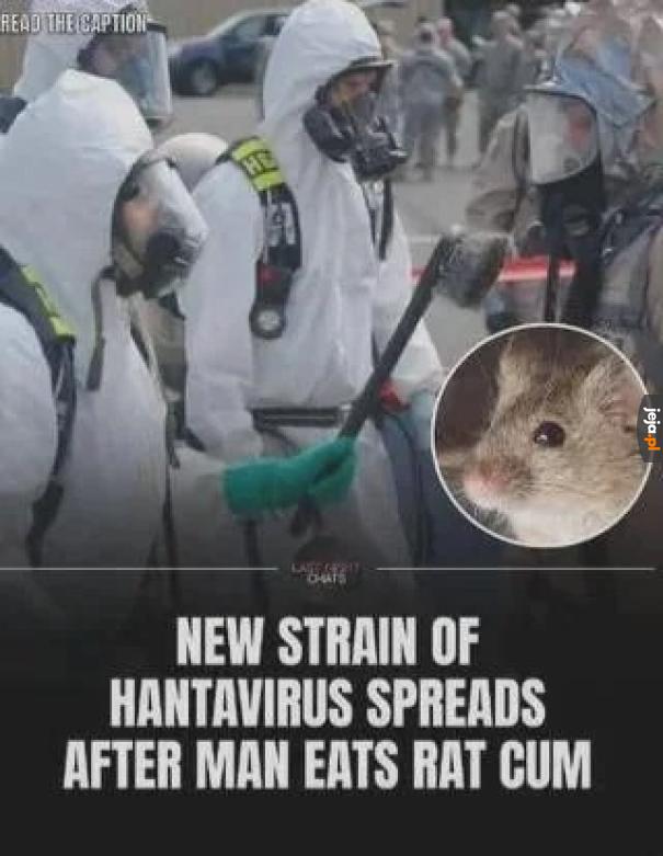 Ja ogólnie z Płocka jestem