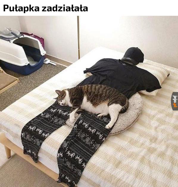 Pułapka idealna