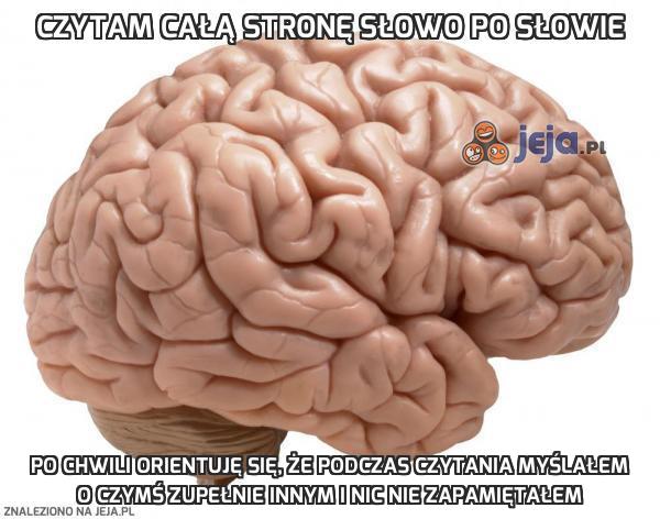 Czytam całą stronę słowo po słowie