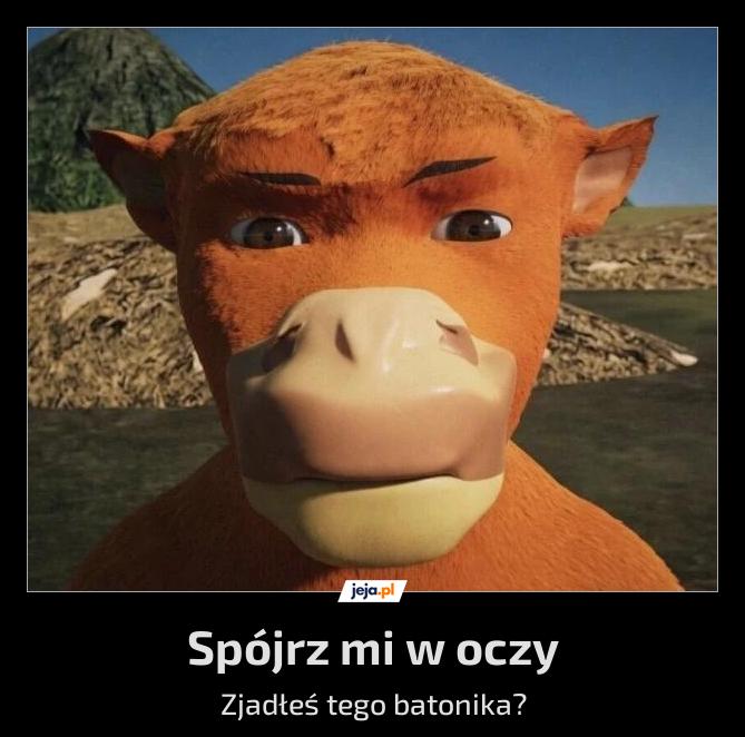 Im dłużej w to patrzę, tym bardziej mnie to bawi
