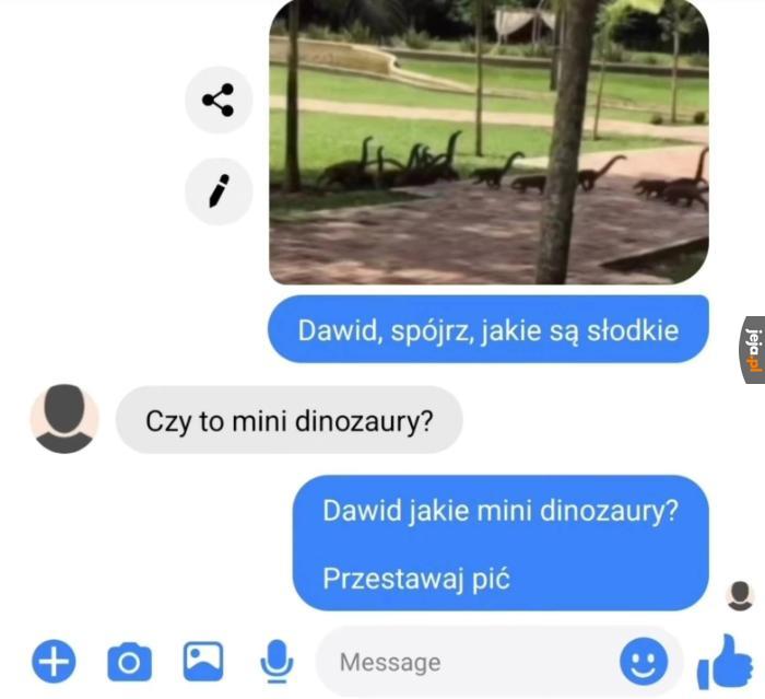 Diplodoki