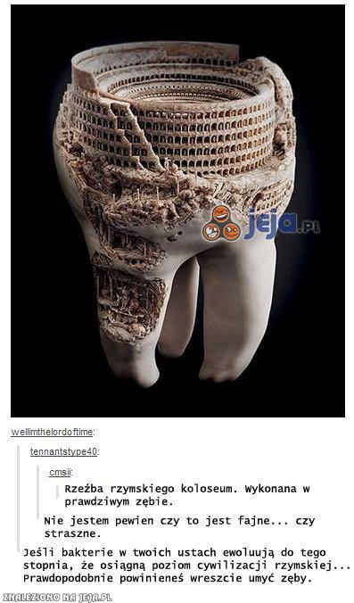 Zębowe koloseum