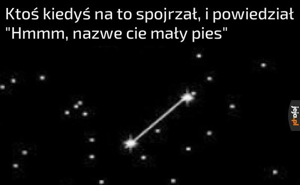 Tytuł