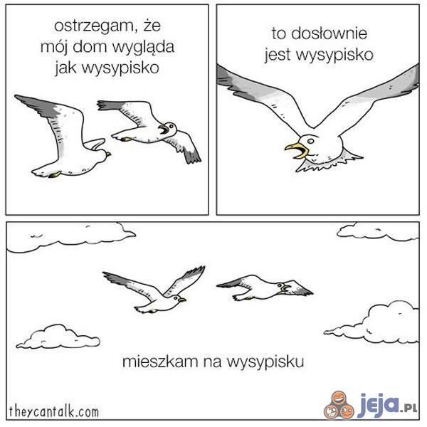 Początkowo się nie zrozumieli