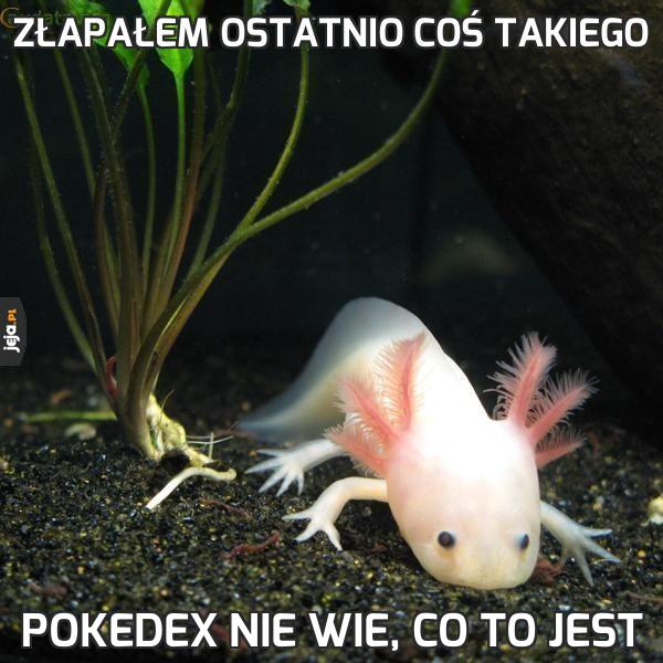 Złapałem ostatnio coś takiego