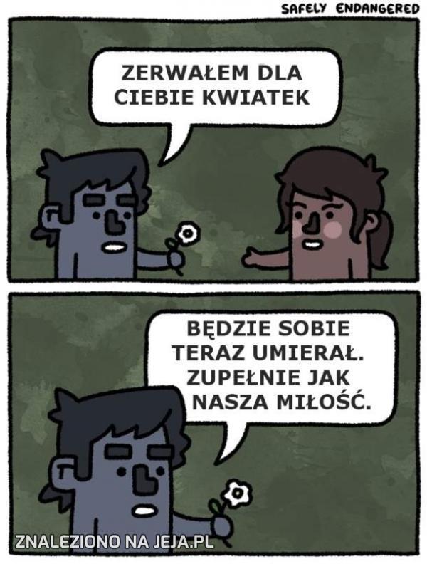 Zerwałem dla ciebie kwiatek