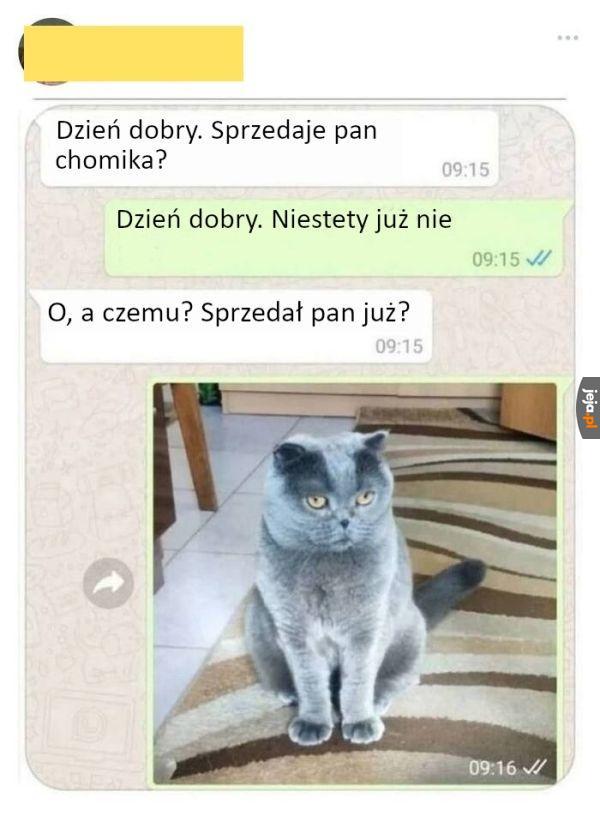 Ten panicz chyba ma z tym coś wspólnego
