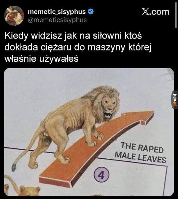 Poległem jako samiec
