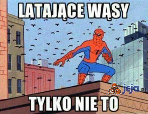 Latające wąsy