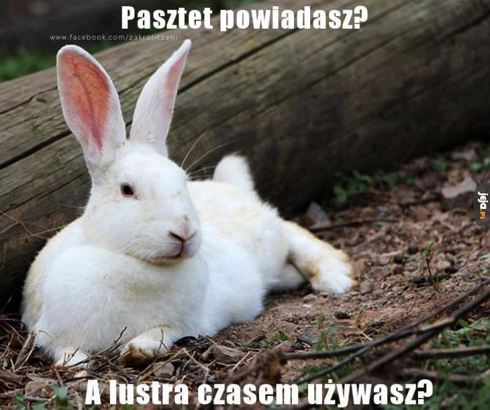 Pasztet, tak?