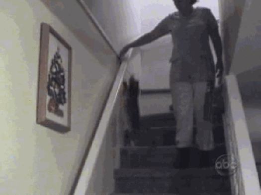 Jak kot schodzi ze schodów