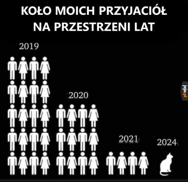 Został kot