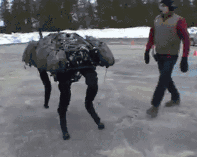 Big Dog - Robot z BostonDynamics