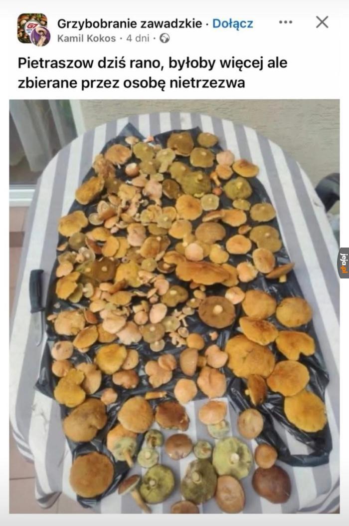 To i tak nieźle
