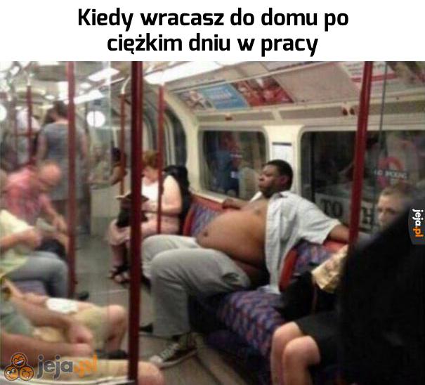 W metrze
