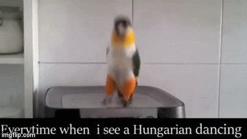 Za każdym razem, gdy widzę tańczącego Węgra