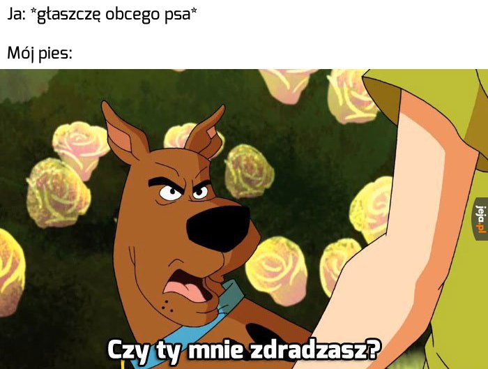 Przepraszam