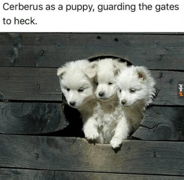 Ceberek