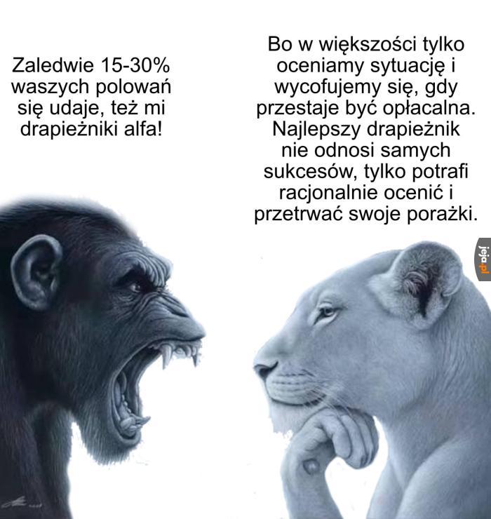 Słyszeliście o tym influencerze, który chce bić się z szympansem?