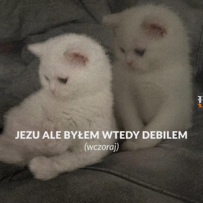 Teraz jestem innym kotkiem