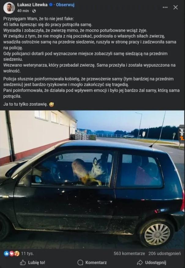 Przygoda