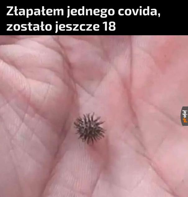 Jeden odhaczony