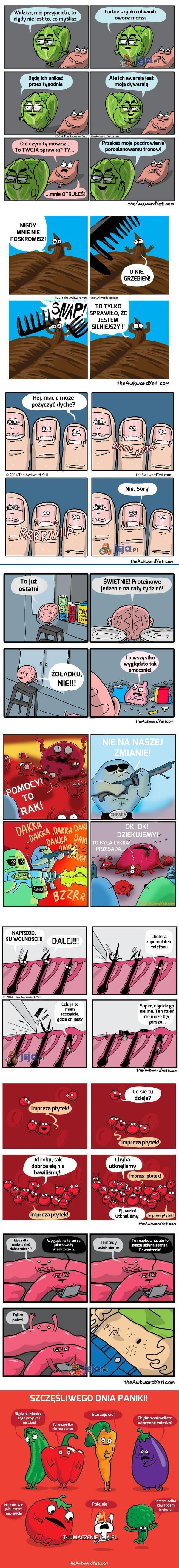 Co się dzieje z naszym ciałem?