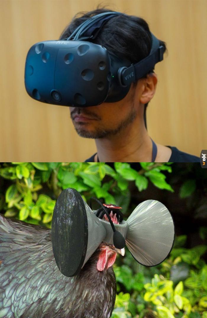 Gdyby dać kurze VR