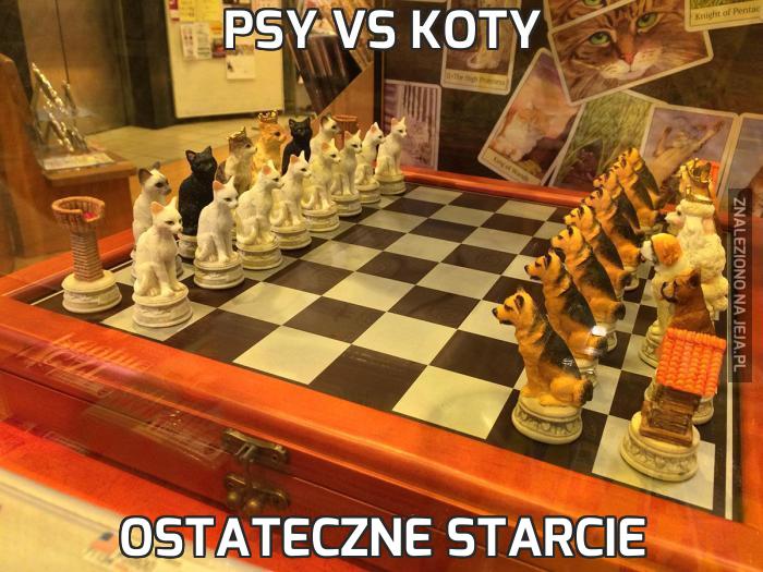 Psy vs Koty