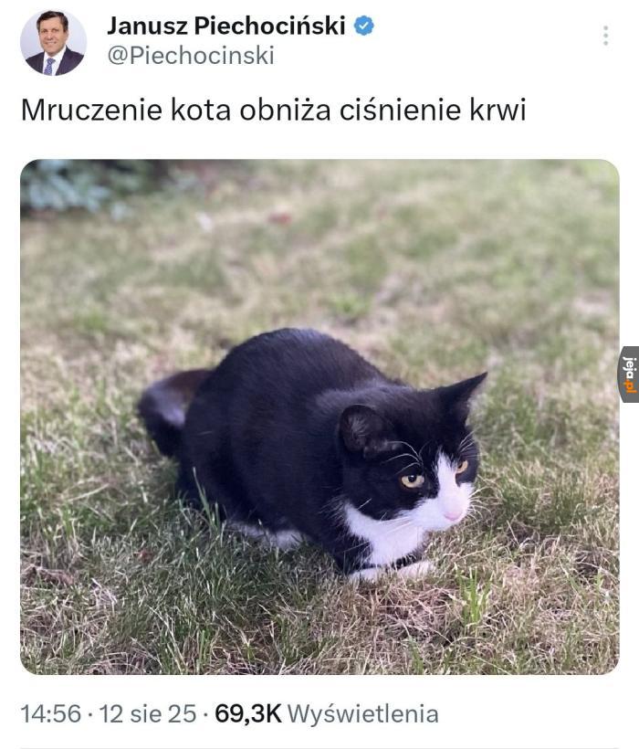 Pilne